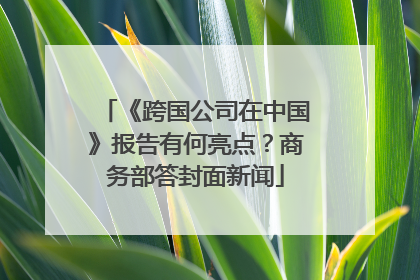 《跨国公司在中国》报告有何亮点？商务部答封面新闻