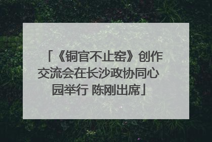 《铜官不止窑》创作交流会在长沙政协同心园举行 陈刚出席
