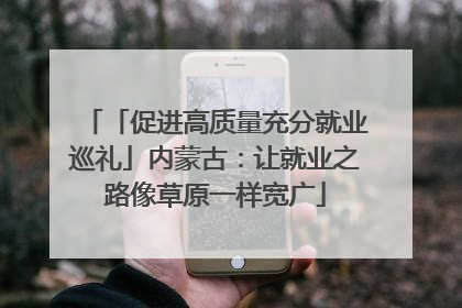 「促进高质量充分就业巡礼」内蒙古：让就业之路像草原一样宽广