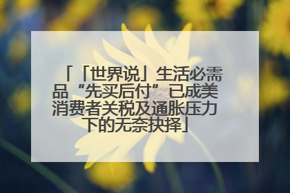 「世界说」生活必需品“先买后付”已成美消费者关税及通胀压力下的无奈抉择