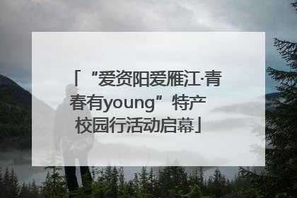 “爱资阳爱雁江·青春有young”特产校园行活动启幕