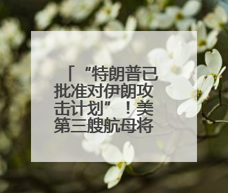 “特朗普已批准对伊朗攻击计划”！美第三艘航母将部署至以色列附近