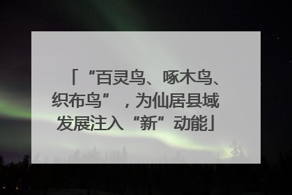 “百灵鸟、啄木鸟、织布鸟”，为仙居县域发展注入“新”动能