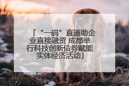 “一码”直通助企业直接融资 成都举行科技创新债券赋能实体经济活动