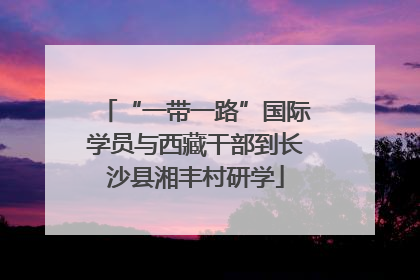 “一带一路”国际学员与西藏干部到长沙县湘丰村研学