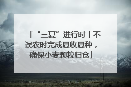 “三夏”进行时丨不误农时完成夏收夏种，确保小麦颗粒归仓