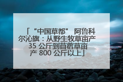 “中国草都” 阿鲁科尔沁旗：从野生牧草亩产 35 公斤到苜蓿草亩产 800 公斤以上