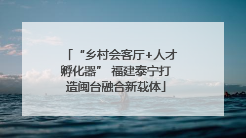 “乡村会客厅+人才孵化器” 福建泰宁打造闽台融合新载体