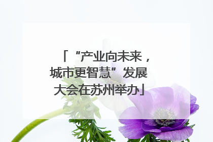 “产业向未来，城市更智慧”发展大会在苏州举办