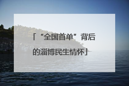“全国首单”背后的淄博民生情怀