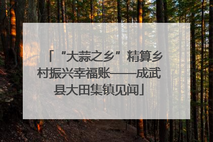 “大蒜之乡”精算乡村振兴幸福账——成武县大田集镇见闻