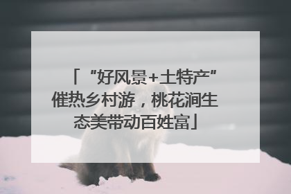 “好风景+土特产”催热乡村游，桃花涧生态美带动百姓富
