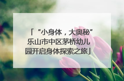 “小身体，大奥秘” 乐山市中区茅桥幼儿园开启身体探索之旅