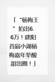 “杨梅王”拍出6.6万！建阳首届小湖杨梅嘉年华酸甜出圈！
