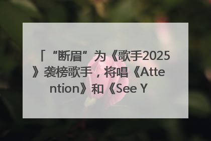 “断眉”为《歌手2025》袭榜歌手，将唱《Attention》和《See You Again》