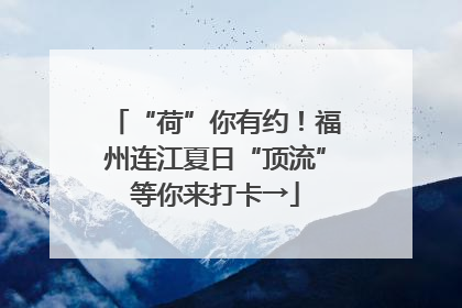 “荷”你有约！福州连江夏日“顶流”等你来打卡→