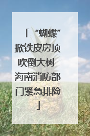 “蝴蝶”掀铁皮房顶吹倒大树 海南消防部门紧急排险