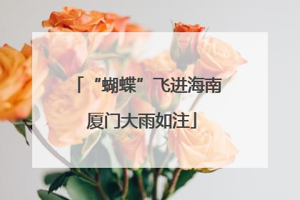 “蝴蝶”飞进海南 厦门大雨如注