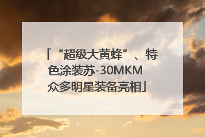 “超级大黄蜂”、特色涂装苏-30MKM 众多明星装备亮相