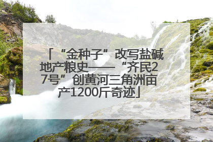 “金种子”改写盐碱地产粮史——“齐民27号”创黄河三角洲亩产1200斤奇迹