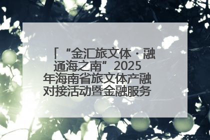 “金汇旅文体・融通海之南”2025年海南省旅文体产融对接活动暨金融服务中心成立仪式举行