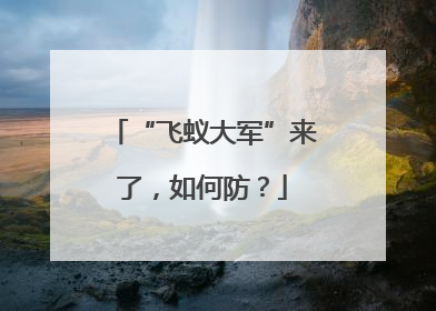 “飞蚁大军”来了，如何防？