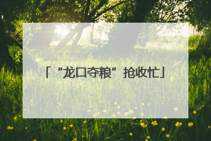 “龙口夺粮”抢收忙