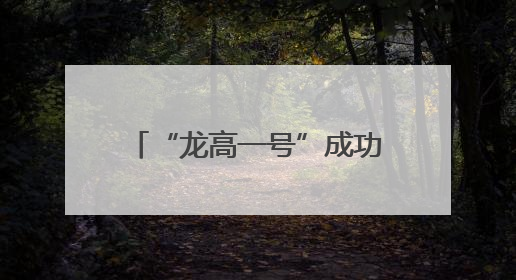 “龙高一号”成功发射！又见深圳少年手搓火箭上天