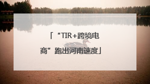 “TIR+跨境电商”跑出河南速度
