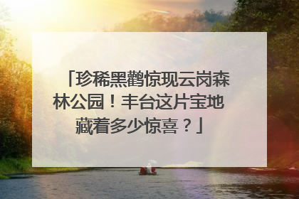 珍稀黑鹳惊现云岗森林公园！丰台这片宝地藏着多少惊喜？
