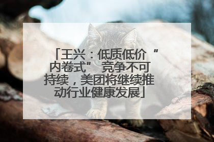 王兴：低质低价“内卷式” 竞争不可持续，美团将继续推动行业健康发展