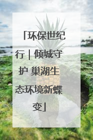环保世纪行｜倾城守护 巢湖生态环境新蝶变