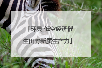 环县 低空经济催生田野新质生产力