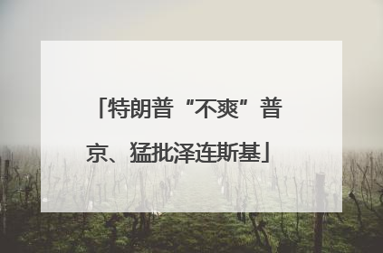 特朗普“不爽”普京、猛批泽连斯基