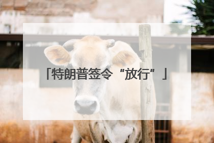 特朗普签令“放行”