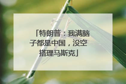 特朗普：我满脑子都是中国，没空搭理马斯克