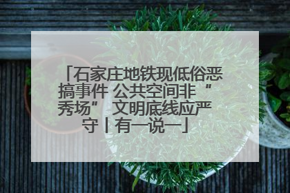 石家庄地铁现低俗恶搞事件 公共空间非“秀场” 文明底线应严守丨有一说一