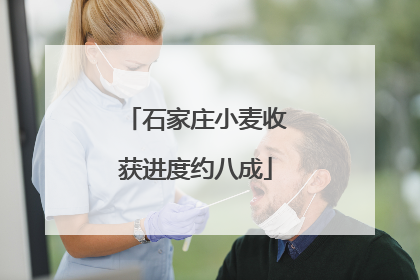 石家庄小麦收获进度约八成
