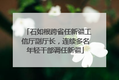 石如根跨省任新疆工信厅副厅长，连续多名年轻干部调任新疆