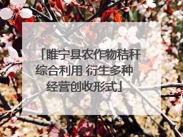 睢宁县农作物秸秆综合利用 衍生多种经营创收形式