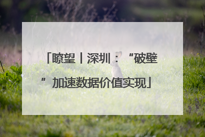 瞭望丨深圳：“破壁”加速数据价值实现