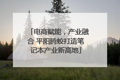电商赋能，产业融合 平阳腾蛟打造笔记本产业新高地