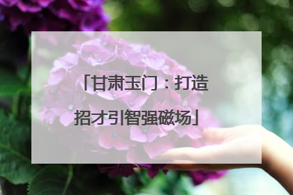 甘肃玉门：打造招才引智强磁场