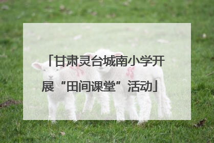 甘肃灵台城南小学开展“田间课堂”活动