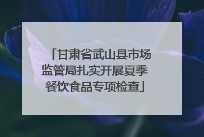 甘肃省武山县市场监管局扎实开展夏季餐饮食品专项检查