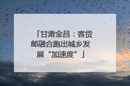 甘肃金昌：客货邮融合跑出城乡发展“加速度”