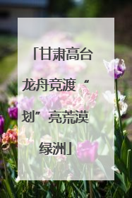 甘肃高台龙舟竞渡“划”亮荒漠绿洲