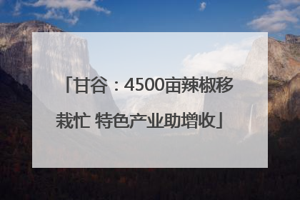 甘谷：4500亩辣椒移栽忙 特色产业助增收