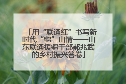 用“联通红”书写新时代“疆”山情——山东联通援疆干部郝兆武的乡村振兴答卷
