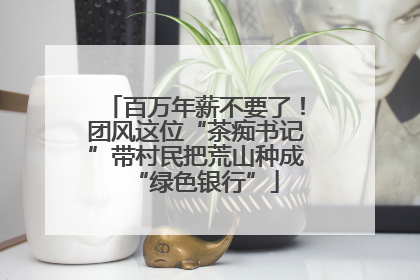 百万年薪不要了！团风这位“茶痴书记”带村民把荒山种成“绿色银行”